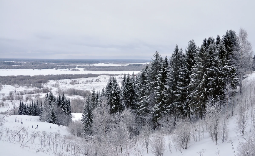 Погода в Сыктывкаре на 10 января: город накроет снегопад