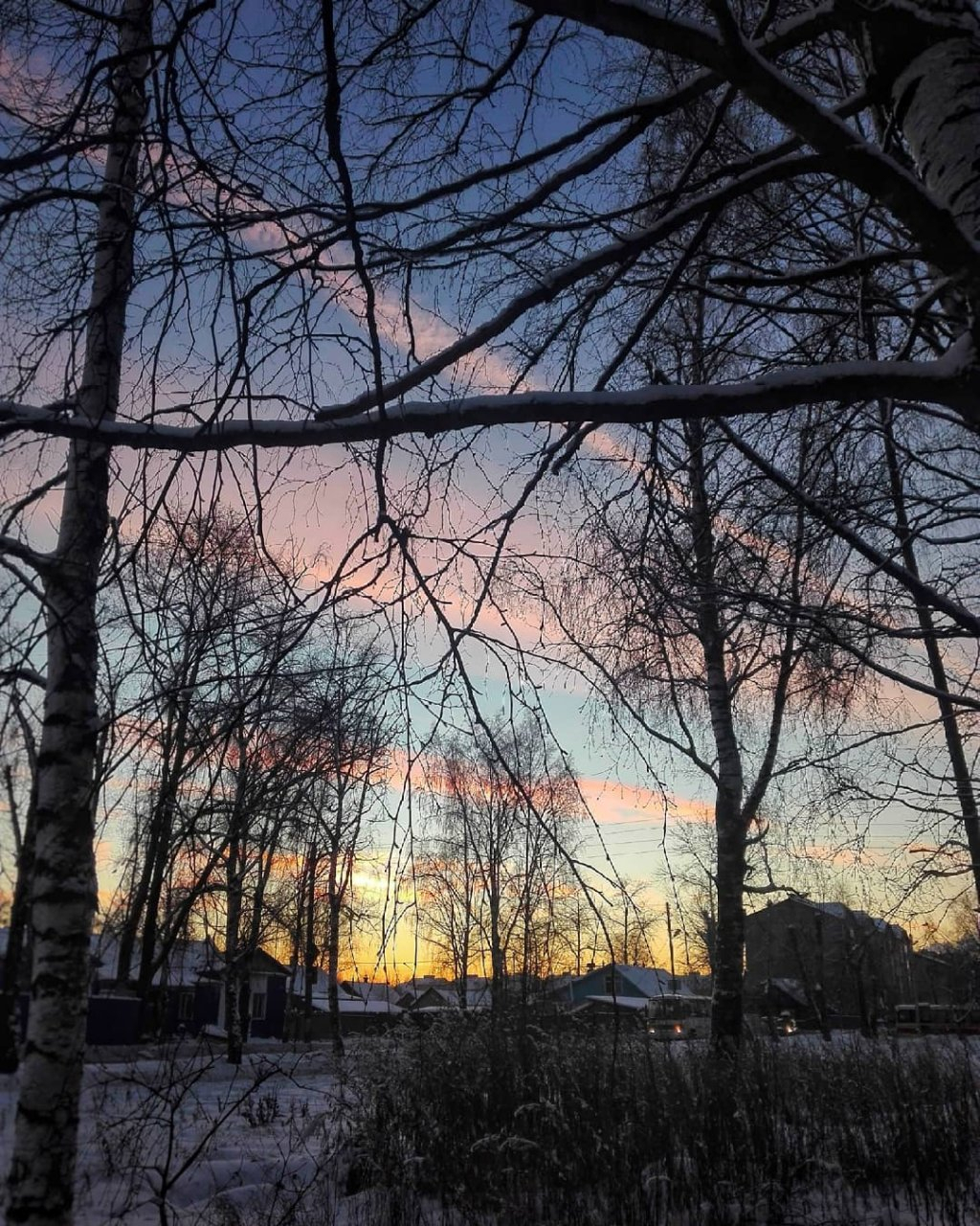 Фото дня: красота сыктывкарских пейзажей