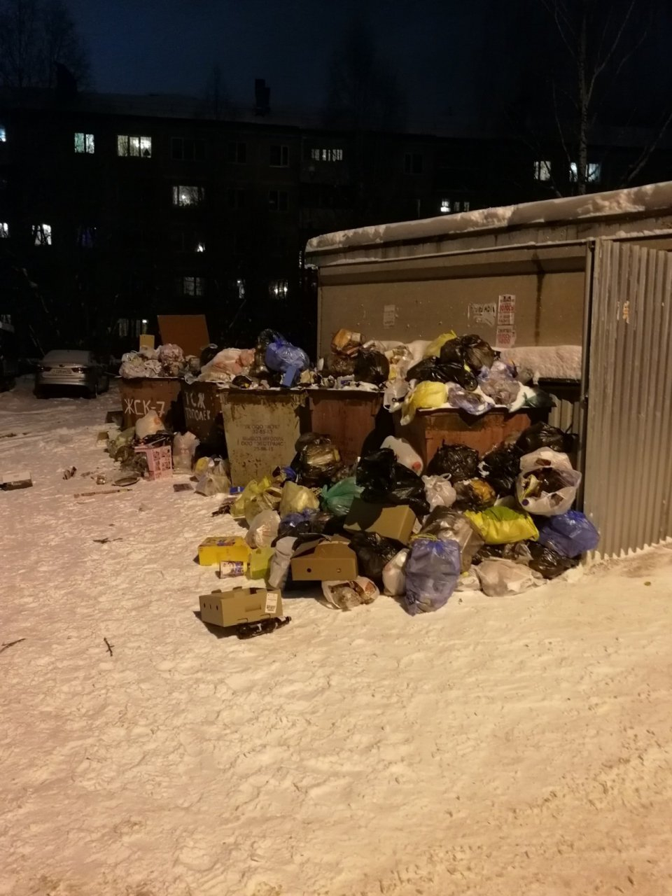 В Сыктывкаре жильцы домов устроили зловонную свалку из-за нехватки мусорных контейнеров