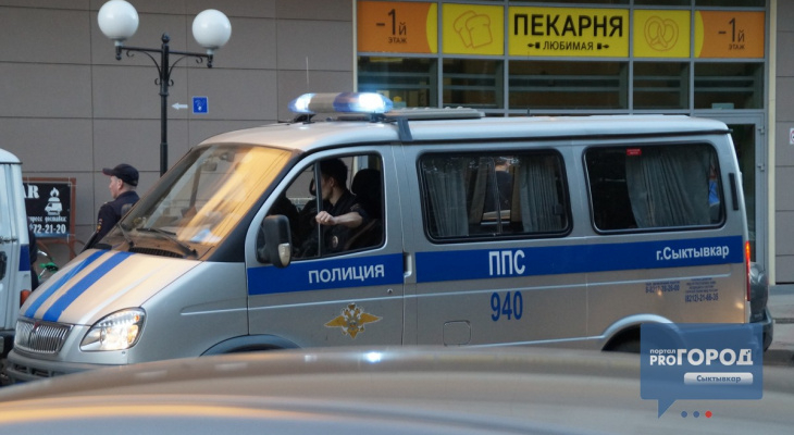 В Сыктывкаре грабитель не смог вырвать сумку из рук женщины и сбежал