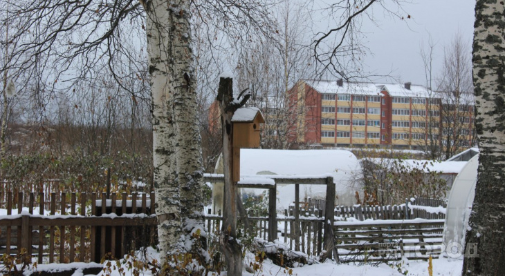 Погода в Сыктывкаре на 28 января: отличная погода для пеших прогулок