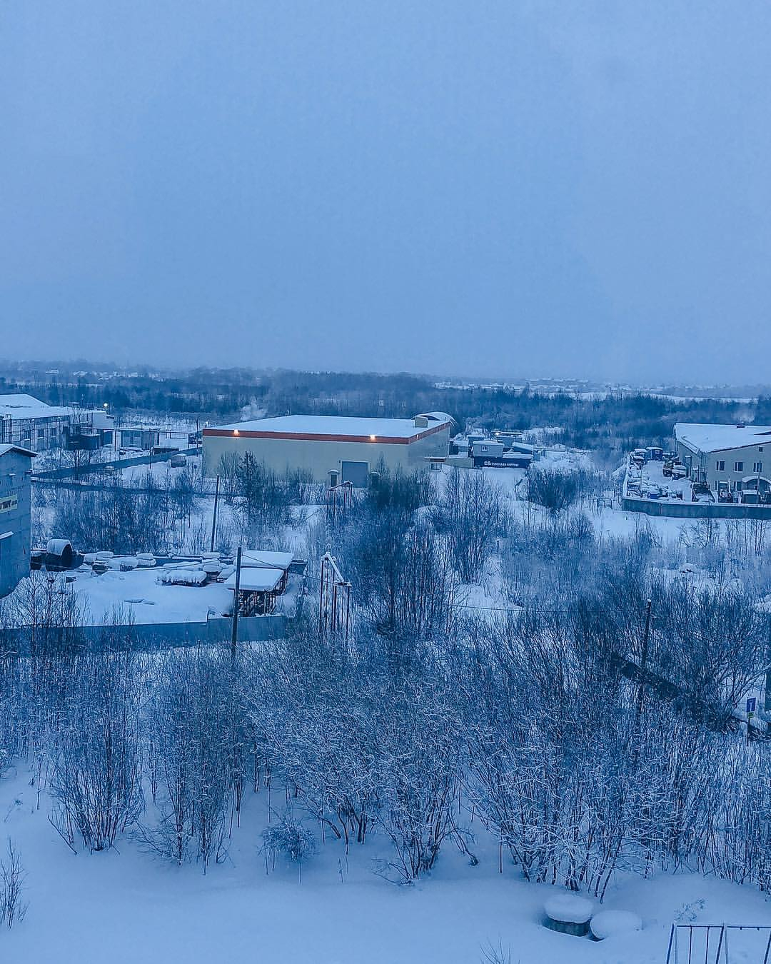 Фото дня в Сыктывкаре: заснеженный лес на краю вечернего города