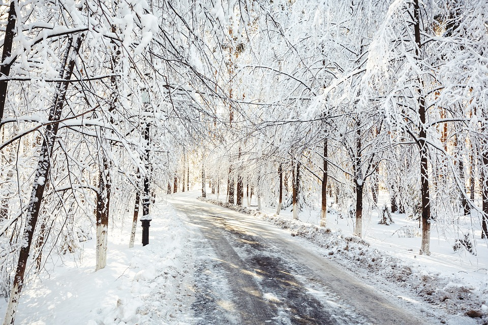 Погода в Сыктывкаре на 31 января: тепло и безветренно