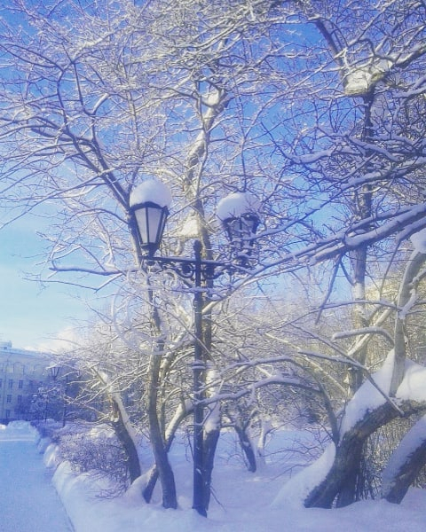 Фото дня от сыктывкарки: заснеженные фонари на Стефановской площади