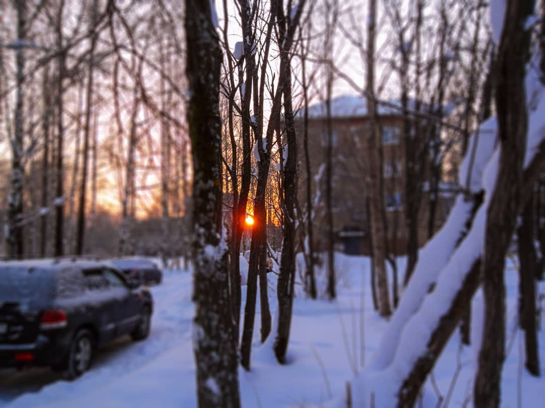 Фото дня: яркий закат среди деревьев в Сыктывкаре
