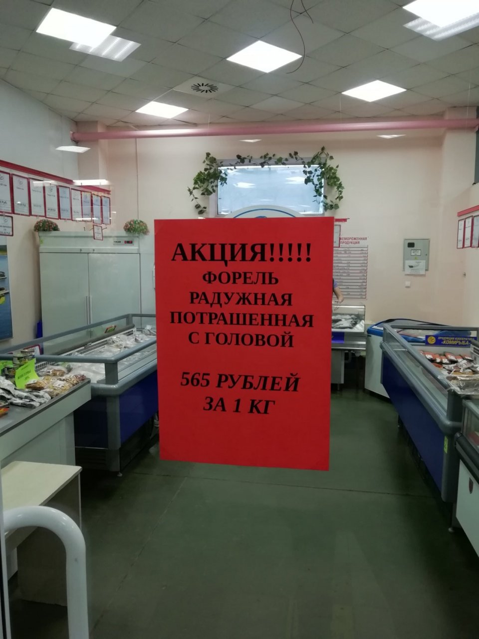 Фото дня: по чем в Сыктывкаре можно купить «потрашенную» рыбу