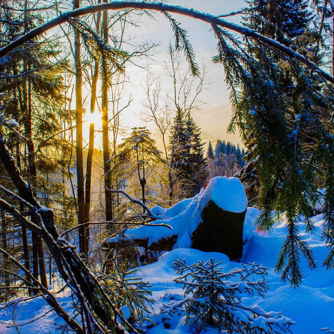 Фото дня от сыктывкарца: пейзаж русской зимы