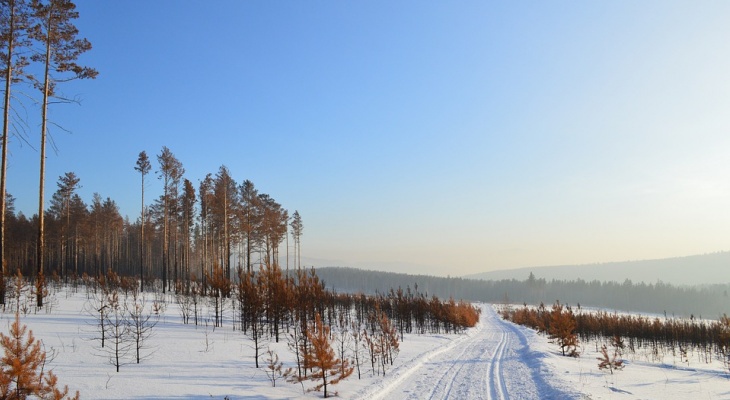 Погода в Сыктывкаре на 8 февраля: меньше снега, больше морозов