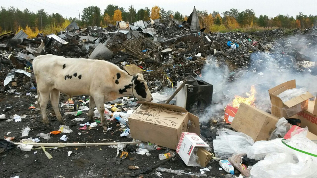 Регоператора Коми обязали убирать свалки даже в один квадратный метр