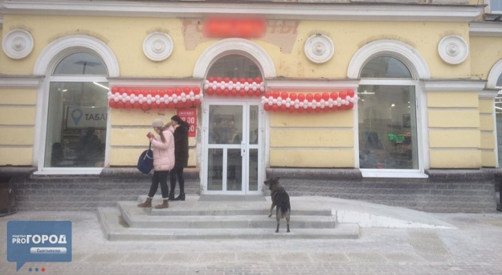 Трое сыктывкарцев зашли в магазин погреться и украли сумку