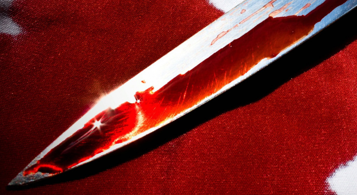 Жительница Коми, которая убила парня его же коллекционным ножом, отправится за решетку