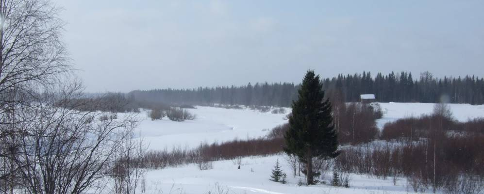 Житель Коми заработал 5 месяцев «строгача» за то, что не ночевал дома