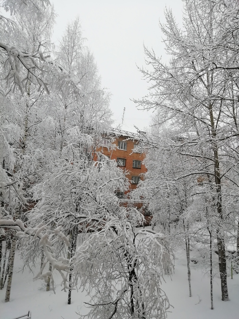 Фото дня в Сыктывкаре: снежное утро в конце марта