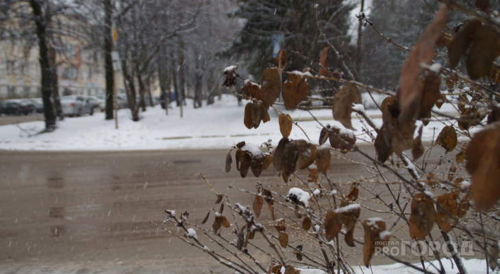 Погода в Сыктывкаре на 29 марта: солнечно и без осадков