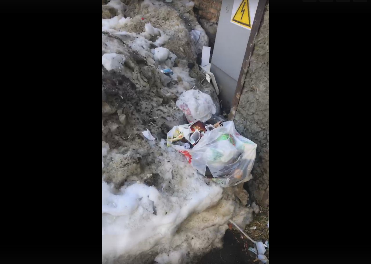 Сыктывкарский общественник рассказал, как нужно решать проблему мусора в городе (видео)