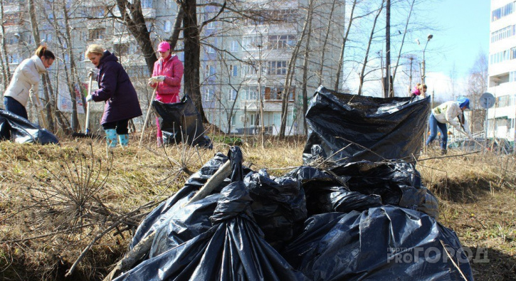 Жители Сыктывкара сплотятся в битве против мусора и прошлогодних бутылок