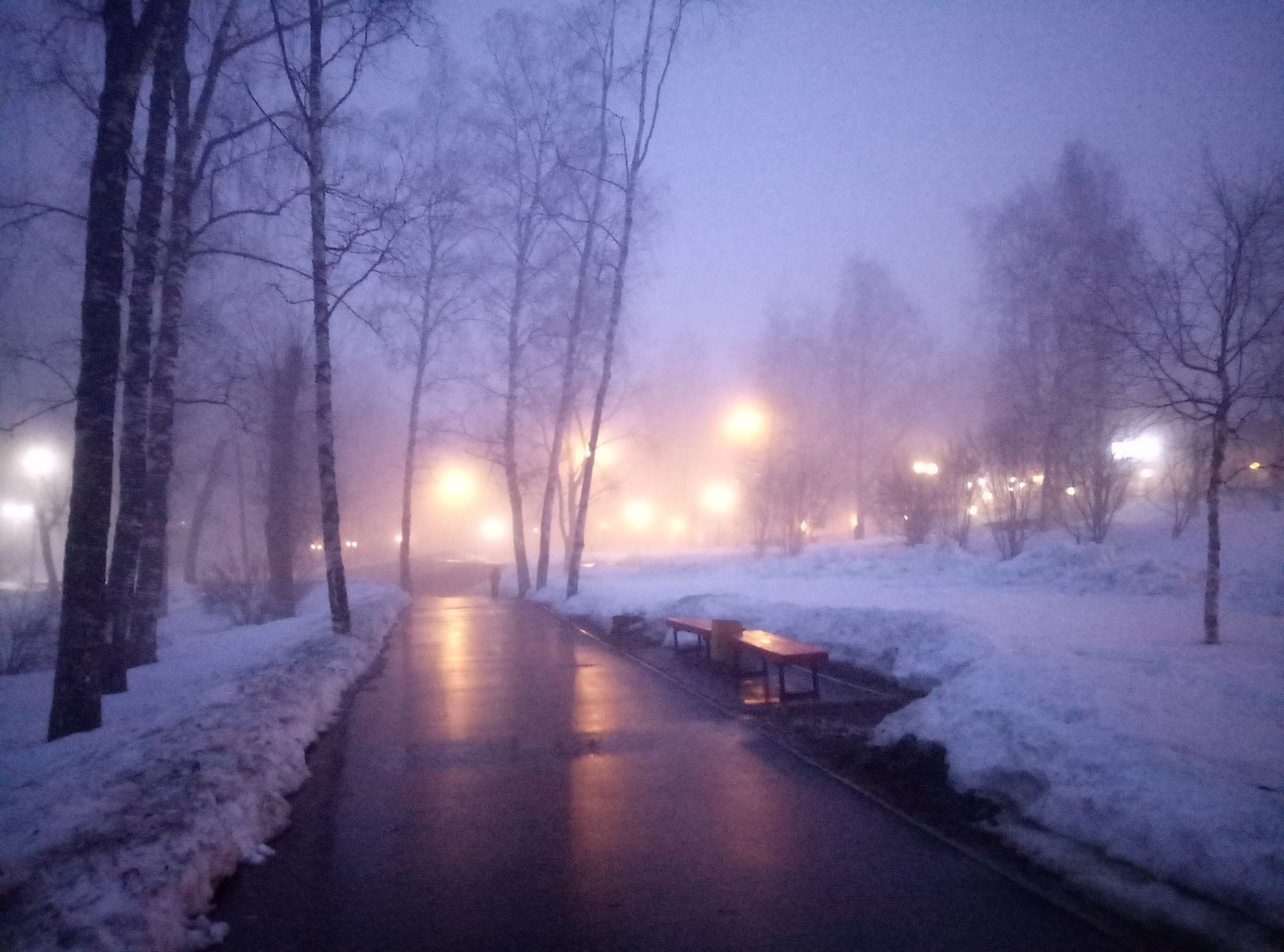10 завораживающих фото тумана, который накрыл вечерний Сыктывкар