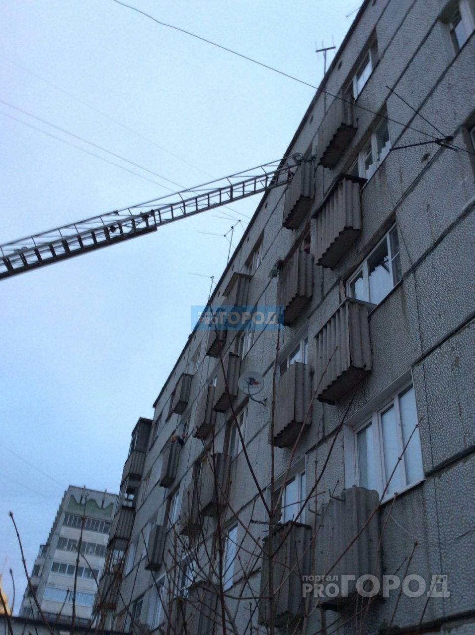 В Сыктывкаре полыхало общежитие: людей эвакуировали через окна (фото, видео)