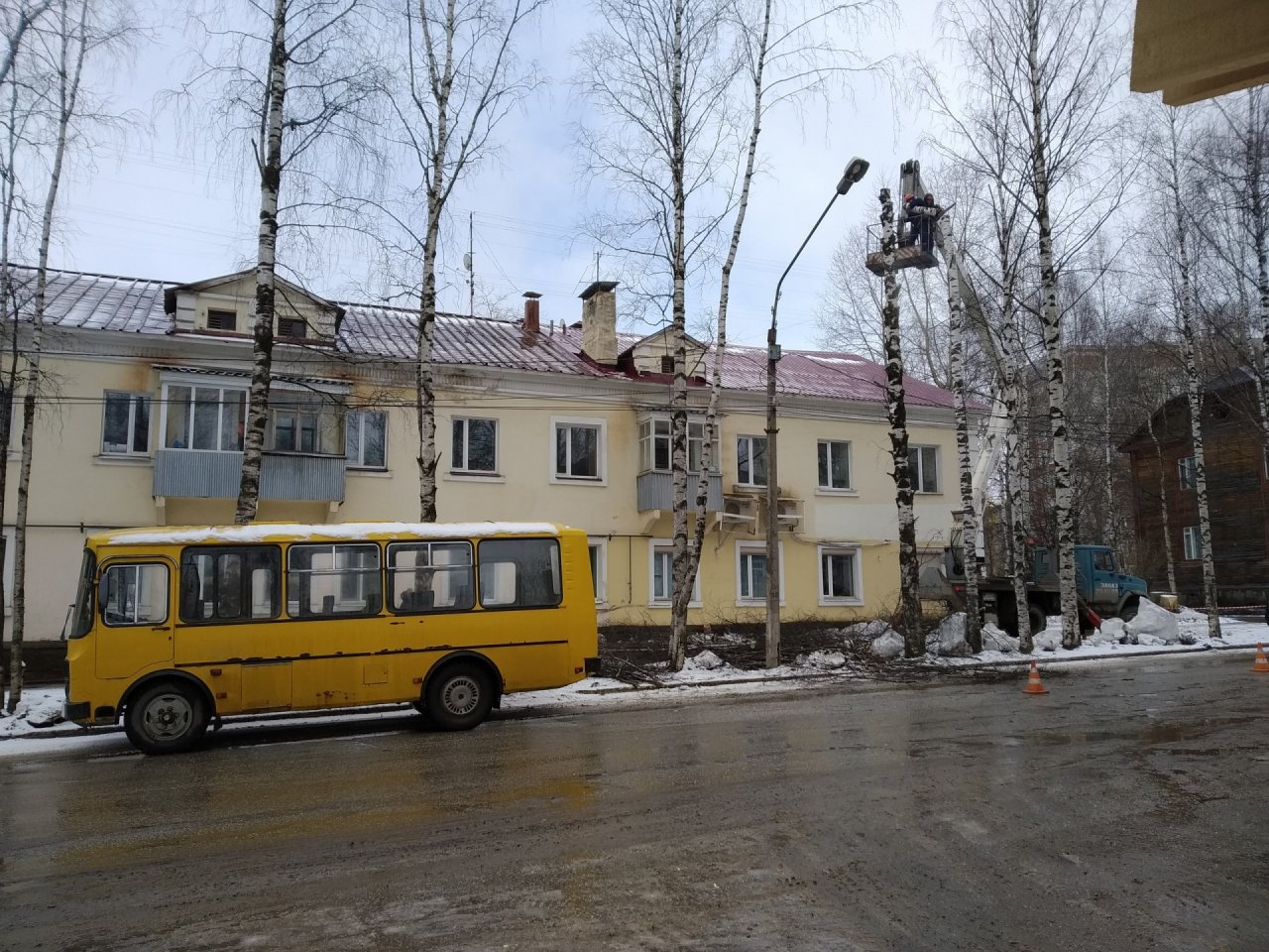 Из-за подземной аварии в центре Сыктывкара спилили деревья (фото)