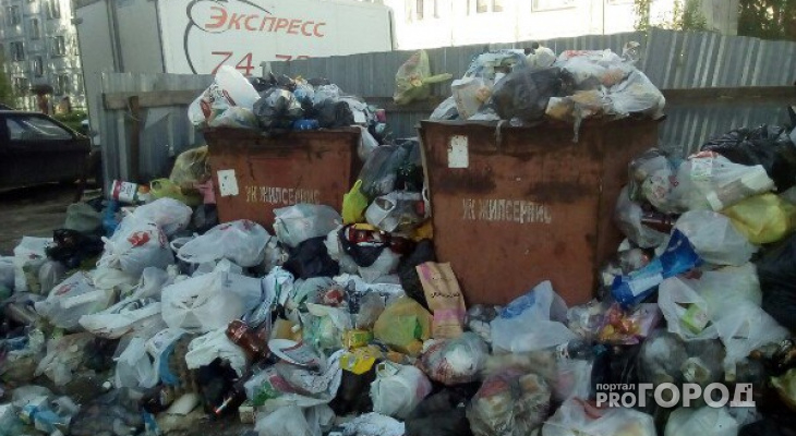 Сыктывкарские коммунальщики поголовно «забили» на обслуживание мусорных баков