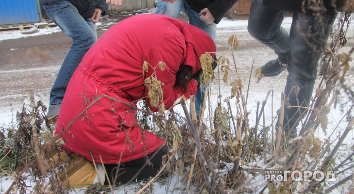 Сыктывкарский юрист рассказала, что делать школьнику, которого избивают и унижают