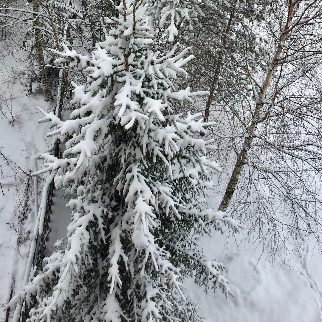Фото дня: зимняя весна в Сыктывкаре