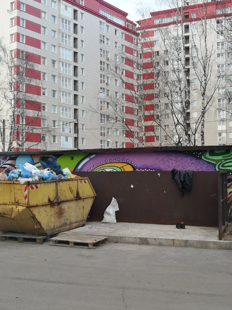 Фото дня в Сыктывкаре: скрытое за мусором искусство в городском дворе