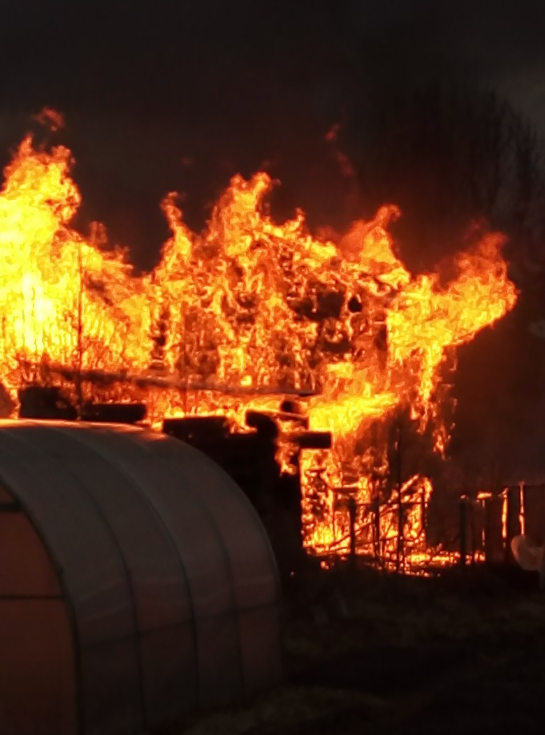 В Сыктывкаре на максаковских дачах полыхала баня (фото)