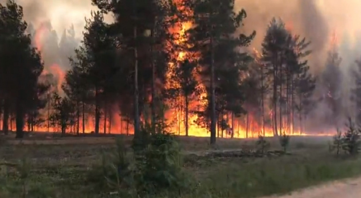 В Коми произошел первый за этот год лесной пожар