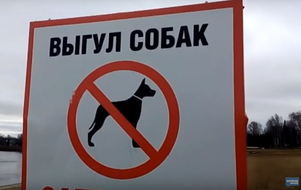 Сыктывкарцы о собачниках в Кировском парке: «Куда детей водить гулять? Одни «минные поля!»