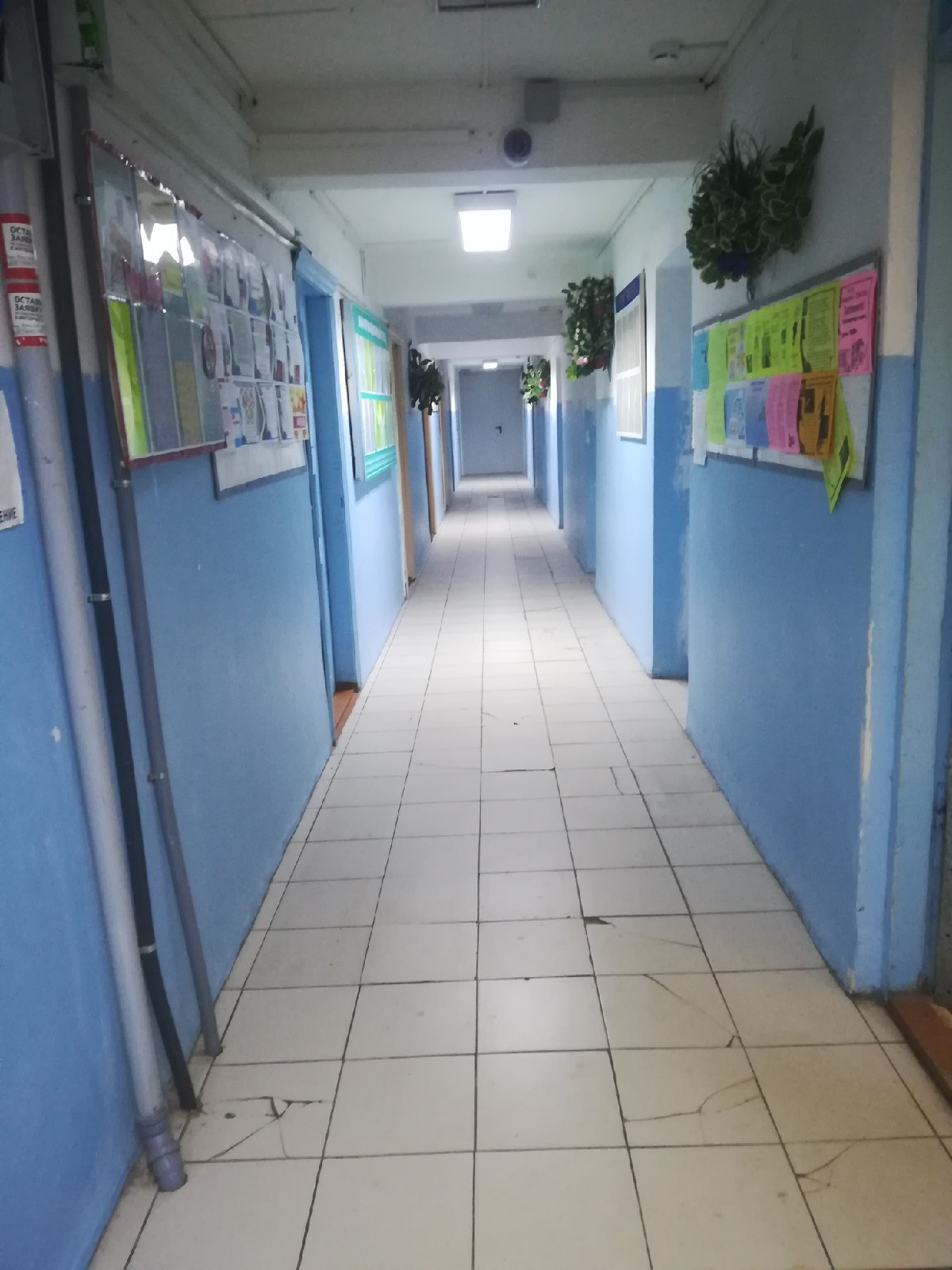 Студенты в Сыктывкаре: «Нас заставили убирать срач, который мы не разводили»