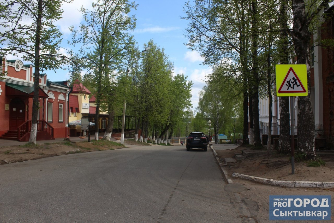 В Сыктывкаре на спуске в Кировский парк срубили все деревья, чтобы сделать тротуары (фото)