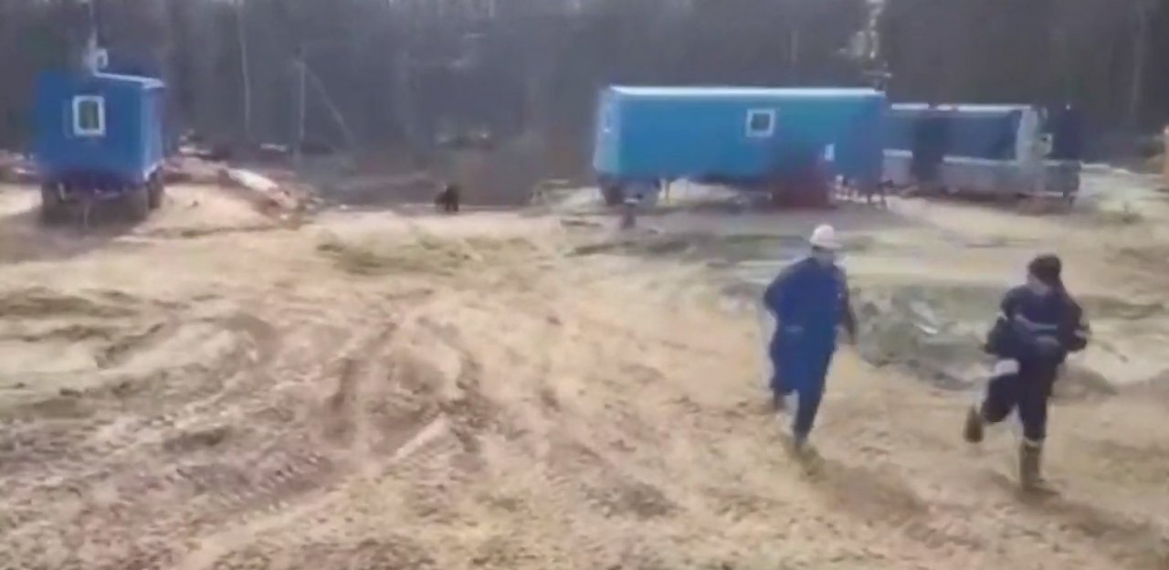 Хищный сосед: в Коми медведь выбежал из леса и погнался за людьми (видео)