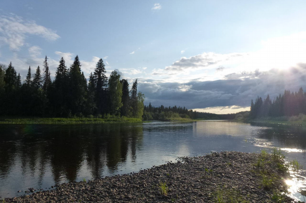 Спасение одной из самых грязных рек Коми оценили в полмиллиарда рублей