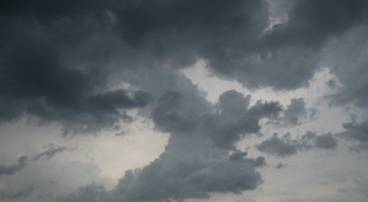 Погода в Сыктывкаре на 5 июля: на улице похолодает