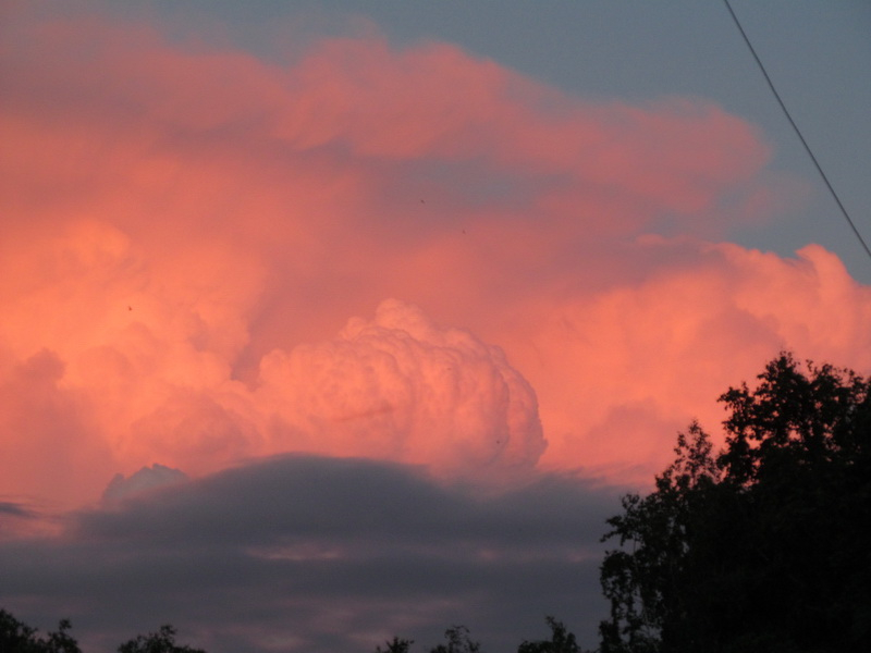 Погода в Сыктывкаре на 6 июля: небо затянет серыми облаками