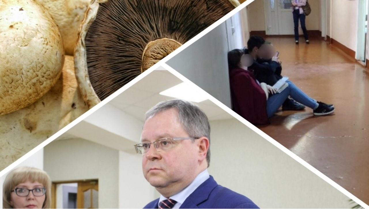 Итоги недели в Коми: отставка мэра Сыктывкара, герои среди нас и «золотое» мясо