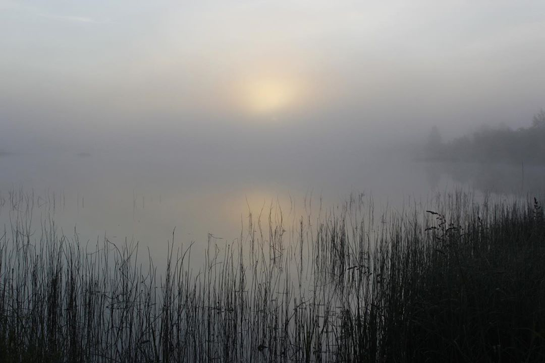 Фото дня от сыктывкарки: густой туман на озере