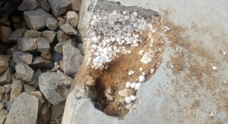 Сыктывкарцы о набережной из пенопласта: «Это чтобы бетон не утонул»