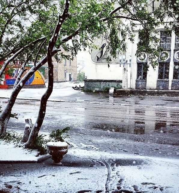 На севере Коми посреди лета выпадет снег