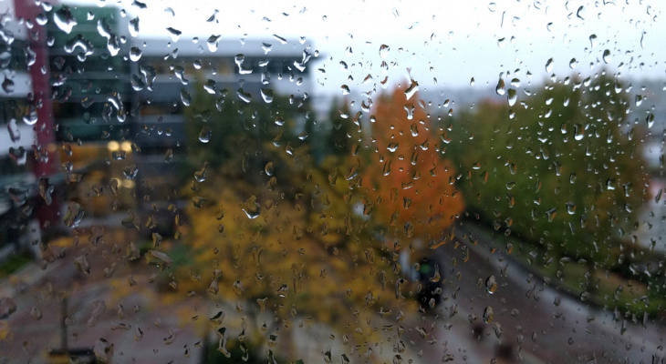 Погода в Сыктывкаре 10 августа: снова дождь, снова ветер