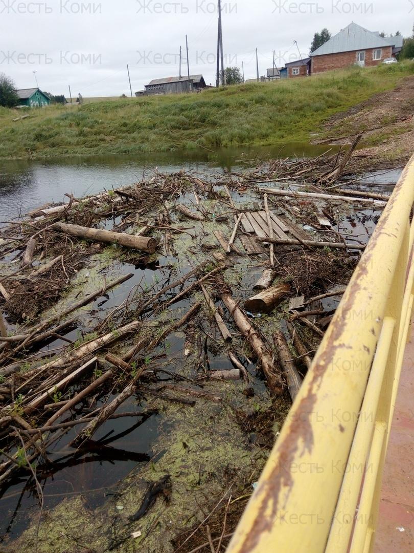 «Опять останемся на острове»: в Коми речной мусор грозит сорвать мост (фото)