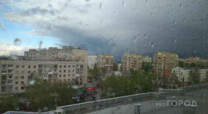 Погода в Сыктывкаре на 12 августа: северное лето продолжается