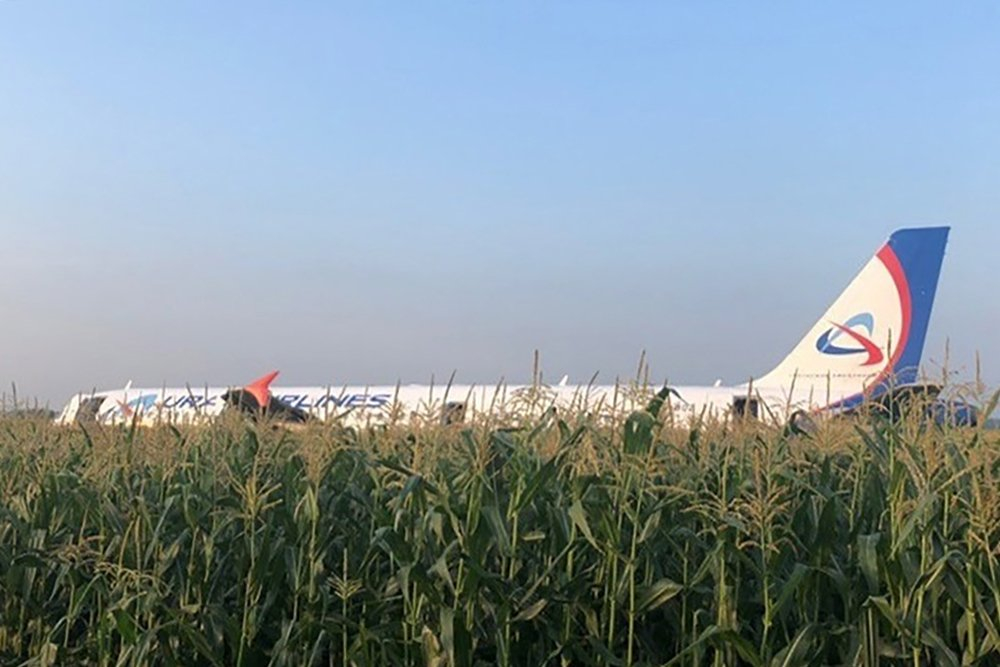 В России пассажирский самолет без двигателей и шасси сел на кукурузное поле (фото, видео)
