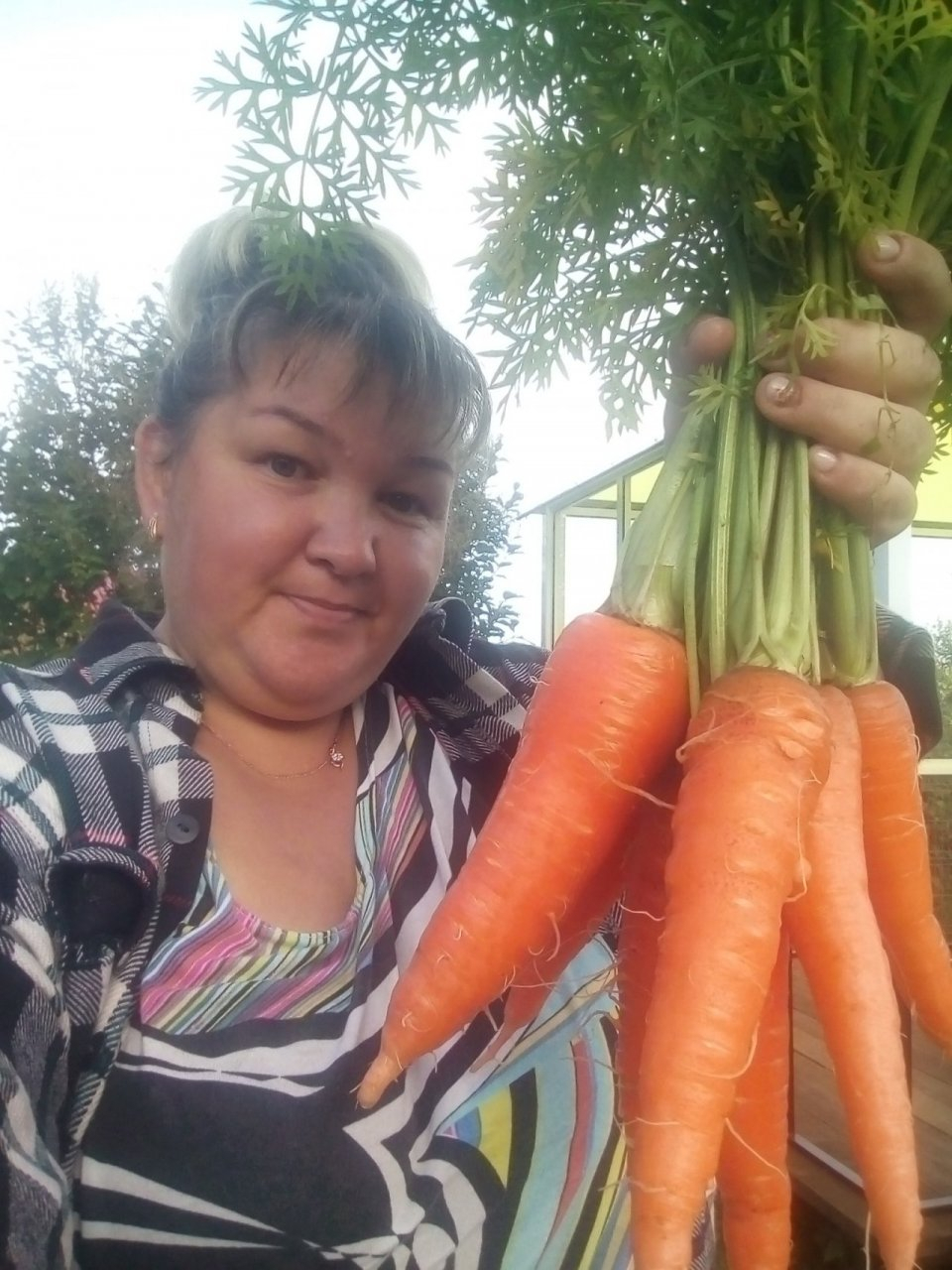 В конкурсе «Моя дача» сыктывкарцы хвастают большой морковью (фото)
