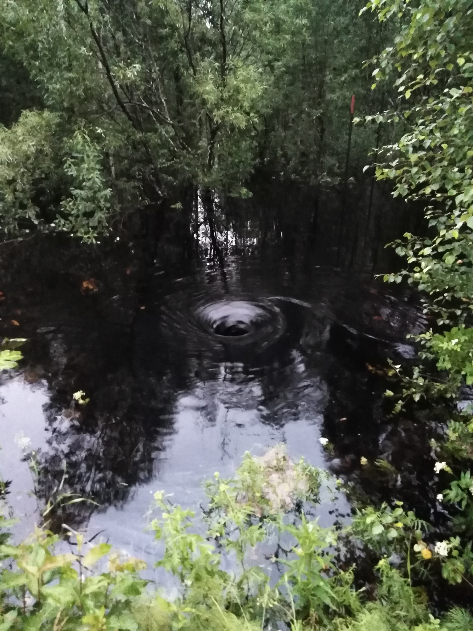 Фото дня от сыктывкарца: загадочная водяная воронка в подземный мир