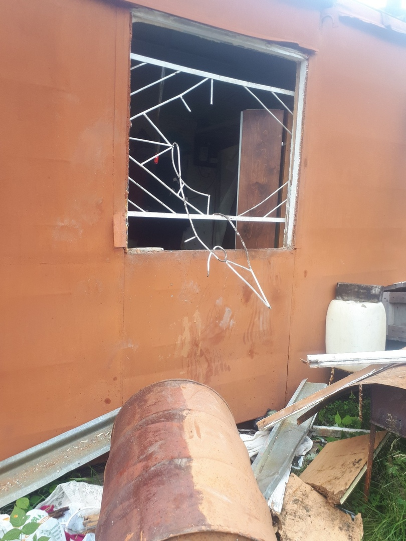 В Коми медведь разорвал железные прутья в дачном доме и разорил холодильник (фото)
