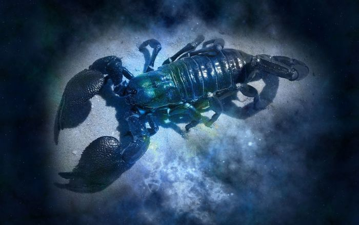 Гороскоп на 8 сентября: Скорпионов ждет мрачная атмосфера, а Раки найдут баланс и взаимопомощь