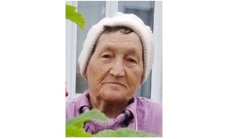 В Сыктывкаре ищут пенсионерку из соседнего региона