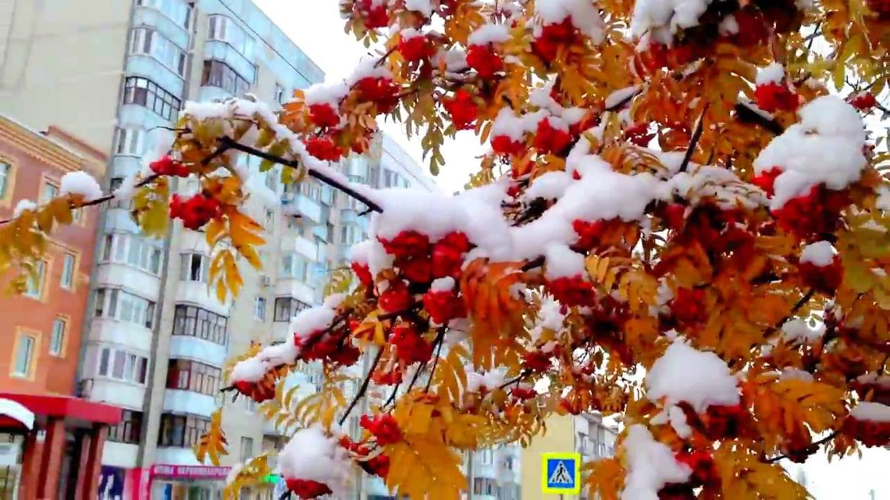 Погода в Сыктывкаре на 26 сентября: очень холодно и снежно